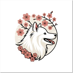 American Eskimo Dog Revels in Spring Cherry Blossoms Posters and Art